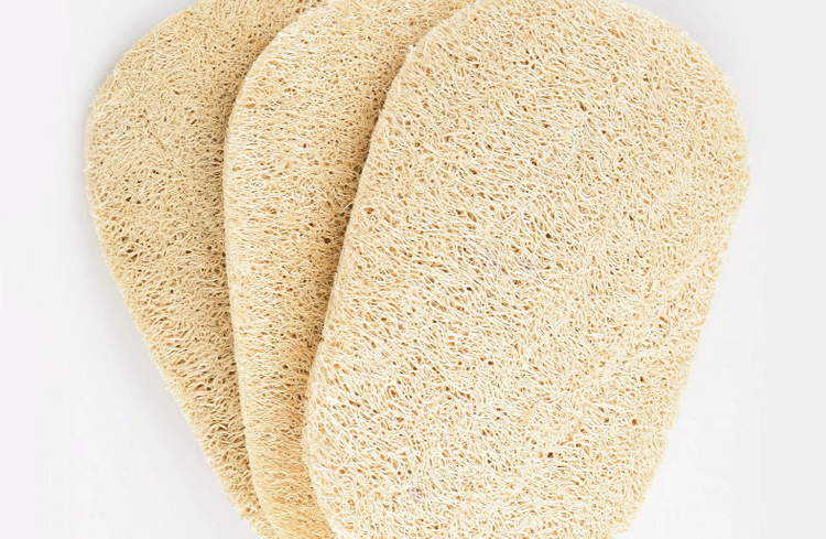 家用洗碗丝瓜络 厨房不沾油洗碗布菜瓜布 整段丝瓜络【大号2个装】