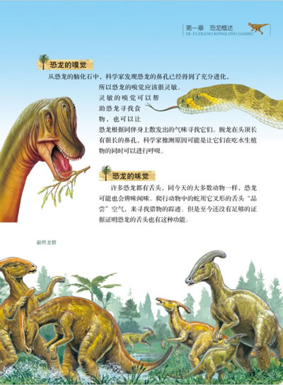 基本信息 书名:恐龙百科 原价:19.
