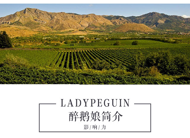 醉鹅娘 意大利原瓶进口红酒 保利尼酒庄 时尚系