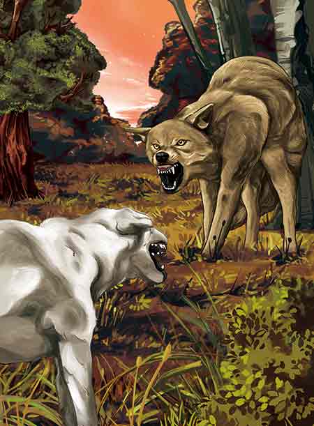 《荒野的呼唤》《海狼》和