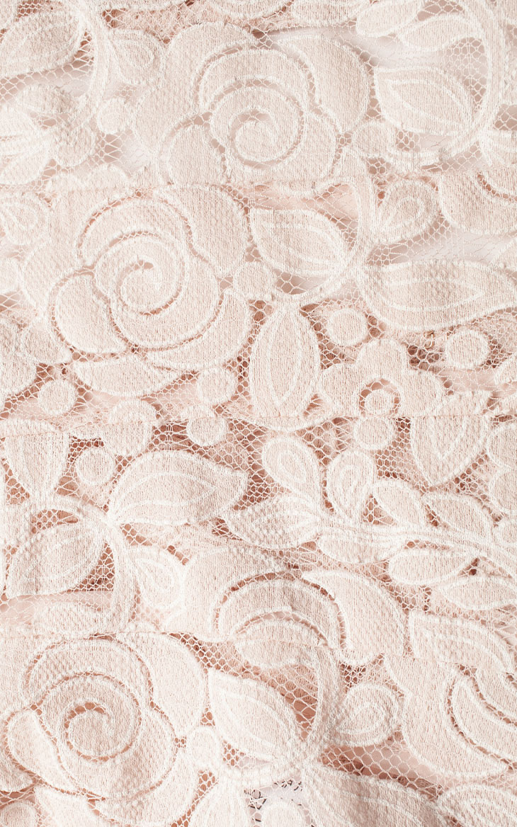 透视蕾丝花型面料