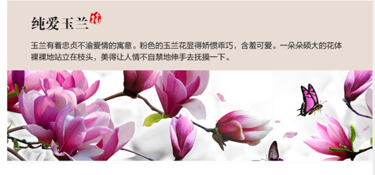 俊艺无框画 客厅装饰画无框画 沙发背景墙壁装饰画 卧室三联画 郁金香装饰无框画 无框画-/玉兰花 70*70cm/25mm