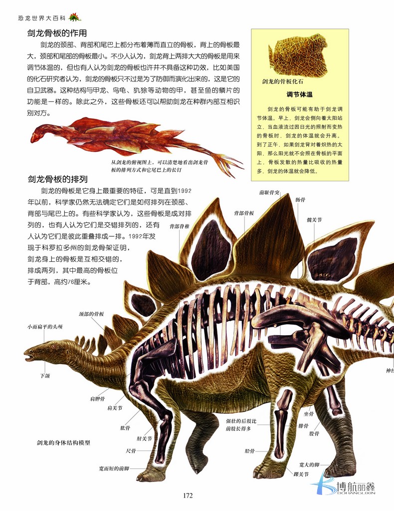 正版常春藤恐龙世界大百科全书青少年版6-7-10-11-14岁彩图精装小学生