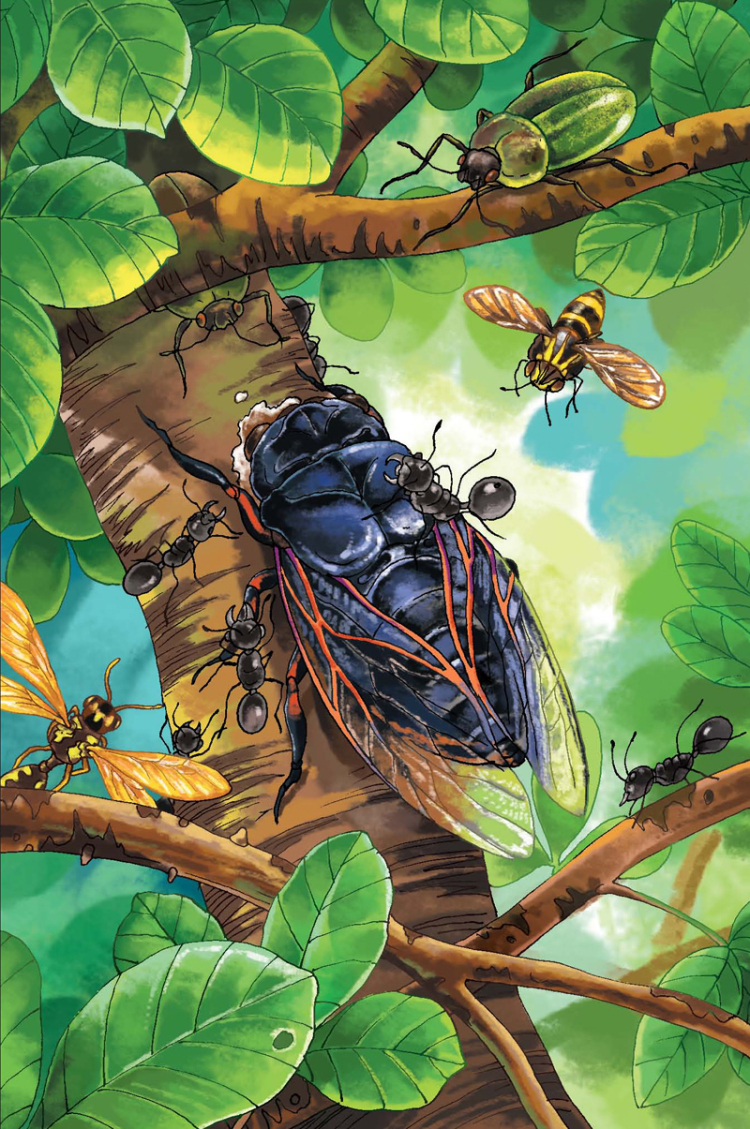 法布尔(jean-henri casimir fabre 1823年-1915年),法国昆虫学家