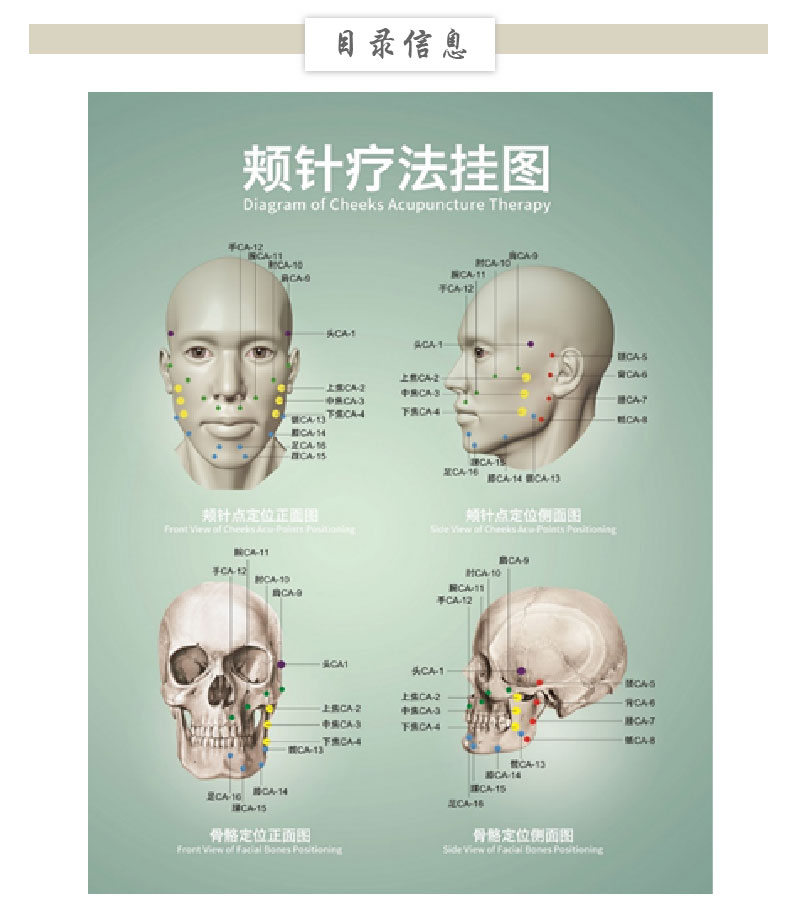 颊针疗法挂图 中国医药科技出版社