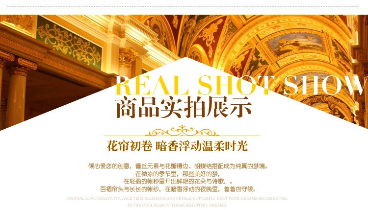 
                                        洛寐 韩版蕾丝圆顶吊顶蚊帐 落地吊挂式公主加高加密蚊帐床幔 圆顶米黄 1.8m床                