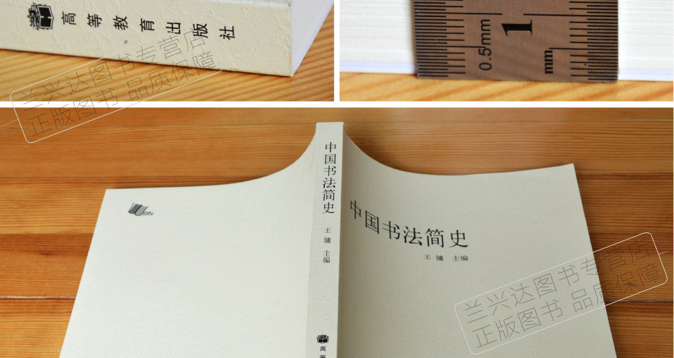 现货中国书法简史王镛美术书法专业本专科高师高专教材高等教育出版社