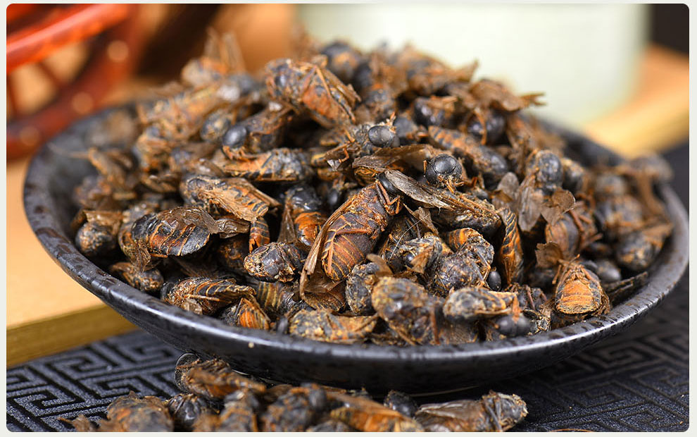 逸参堂 牛虻虫 蜚虻 牛氓虫 牛苍蝇 牛牤虫 100克