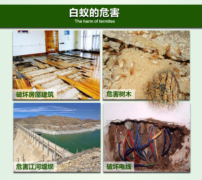 晔康白蚁药诱杀盒诱杀箱引诱剂灭白蚁家用室内室外两用白蚁诱杀器传染