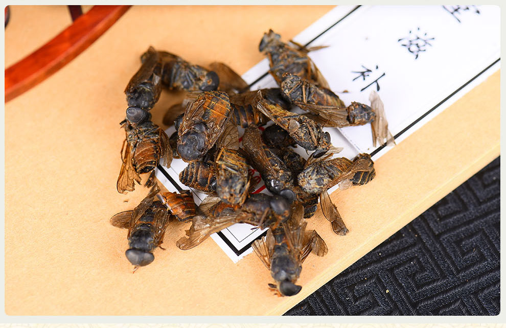 逸参堂 牛虻虫 蜚虻 牛氓虫 牛苍蝇 牛牤虫 100克