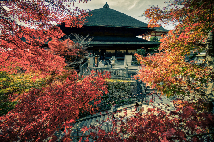 《正版现货 西风多少恨 吹不散眉弯 白落梅 中国华侨出版社》- 京东