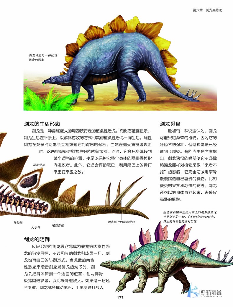 正版常春藤恐龙世界大百科全书青少年版6-7-10-11-14岁彩图精装小学生