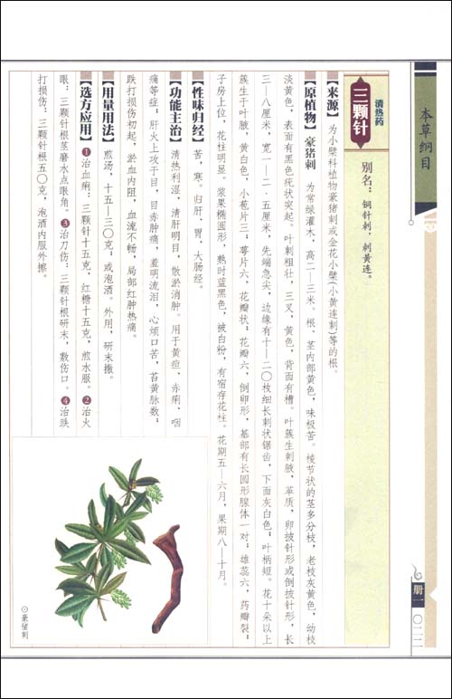 京东触屏版