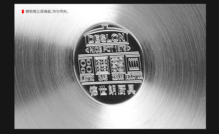 德世朗 蒸锅 汤锅 多用途304不锈钢复底双层多用蒸汤锅带蒸笼蒸格 DSL-D025 