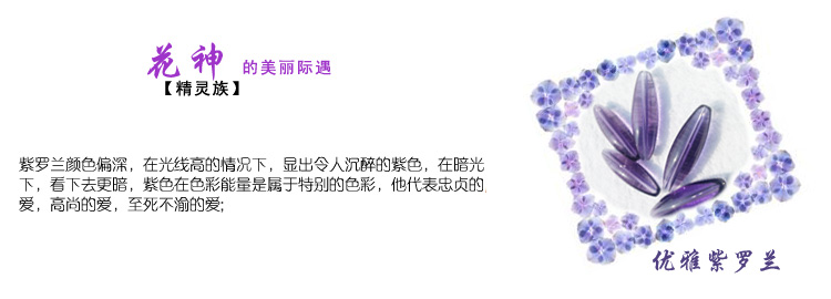心思恋珠帘水晶帘成品门帘屏风玄关客厅田园装饰挂帘橄榄 葫芦 紫罗兰