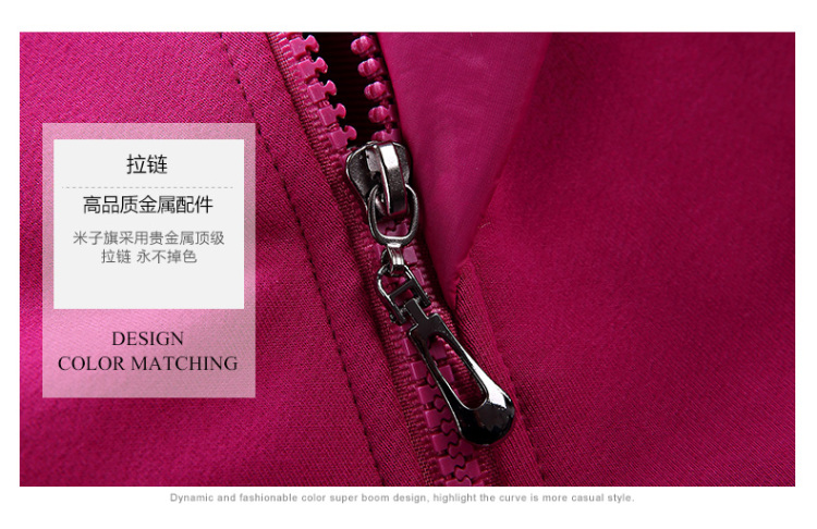 2015春装新款女士运动套装女休闲套装女运动服女春秋运动装运动衣 紫红显瘦 L/100-108斤新款