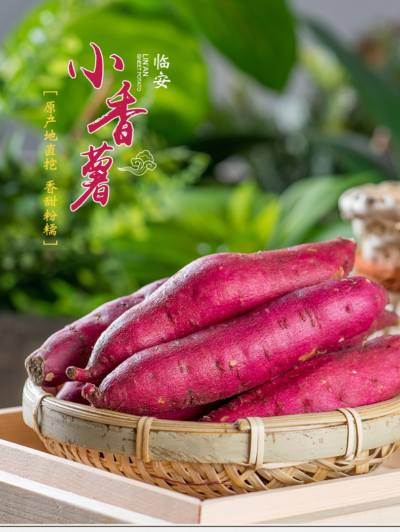 临安天目山小香薯 红薯番薯 2.5 kg_ 7折现价35元
