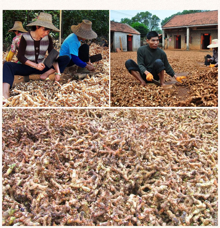 爱蜀味优选良姜高良姜炖肉卤料去腥提味冬阴功汤料香料50g良姜