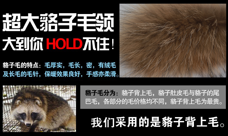 阿休族春秋冬季新款 貉子毛领气质夹棉皮衣 女韩版麂皮绒衣短款皮裙短裙小棉衣外套 两件套套装 68A款衣服+裙子一套 M