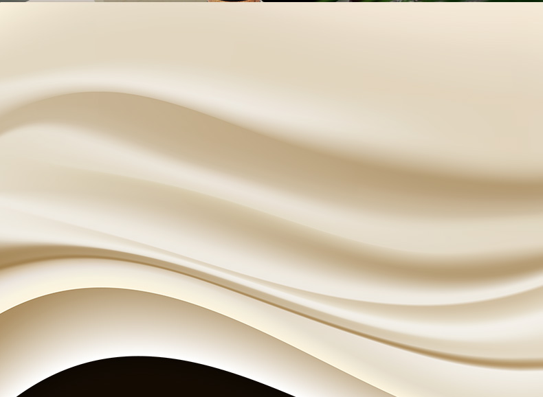 澳洲奔富PenFolds 澳大利亚进口红酒奔富BIN