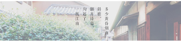 紫格子2016春夏新款衬衫女长袖上衣打底衫R3040 白色 XL