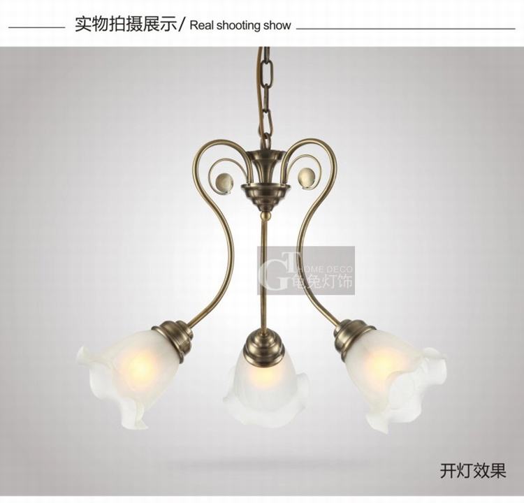 吊灯铁艺欧式灯饰灯具 卧室书房餐厅吊灯 简欧风格 GT6200(b)