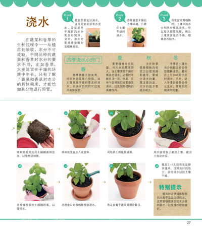 《最好的家庭种菜书》将为你介绍近百种常见蔬菜,香草的简易家庭种植