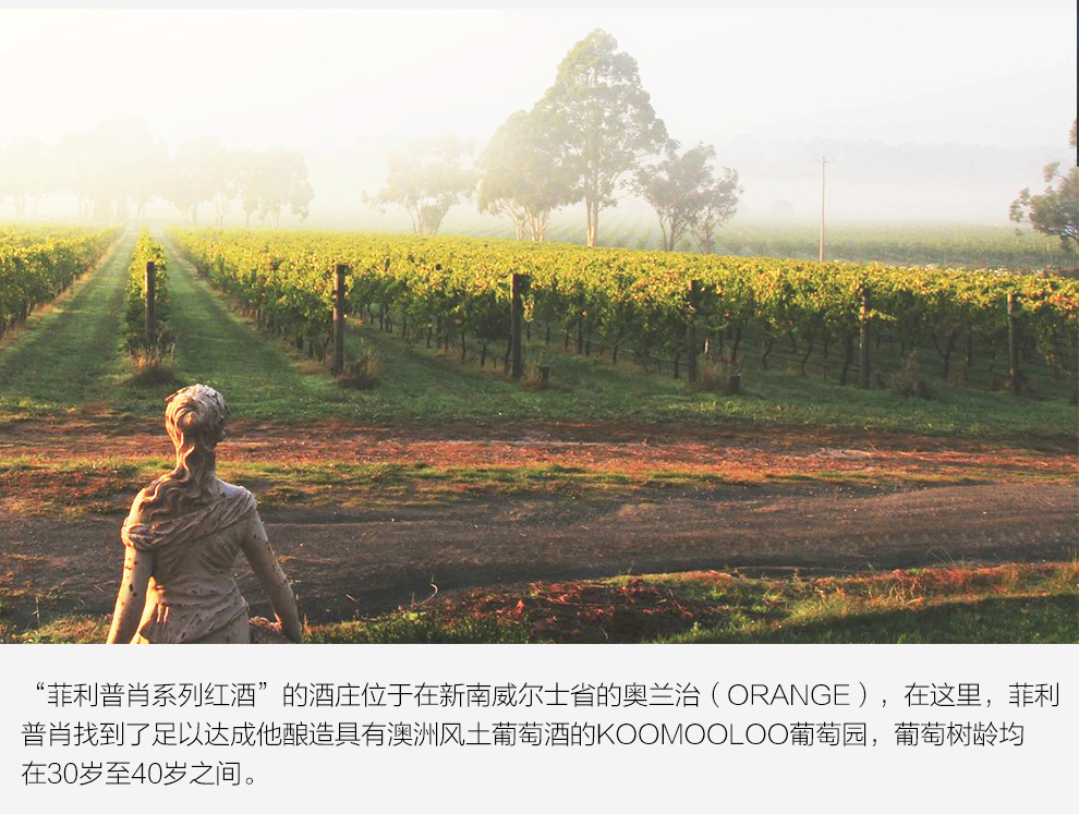 澳洲红五星酒庄原瓶进口红酒 奥兰治产区 菲利