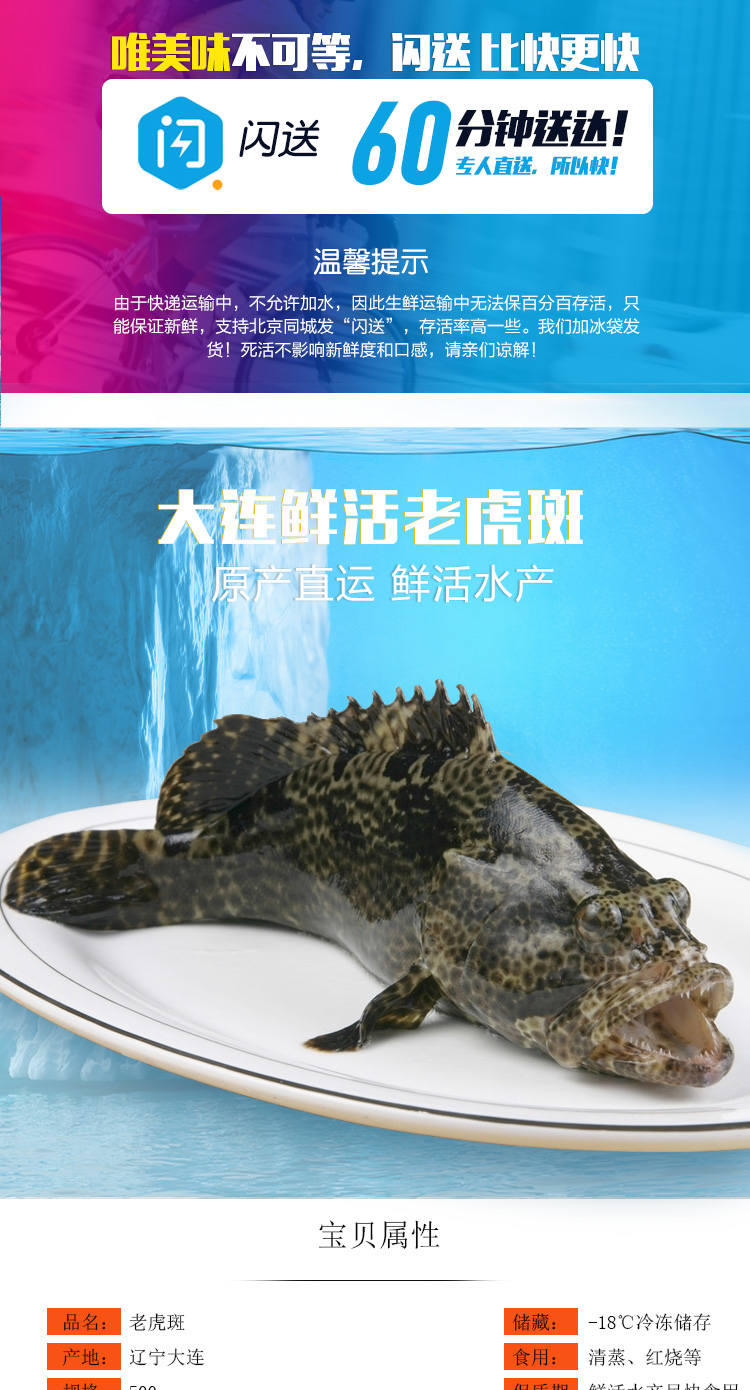 【活鲜】京鲜生 鲜活老虎斑 龙胆鱼700-800g 1条 【图片 价格 品牌