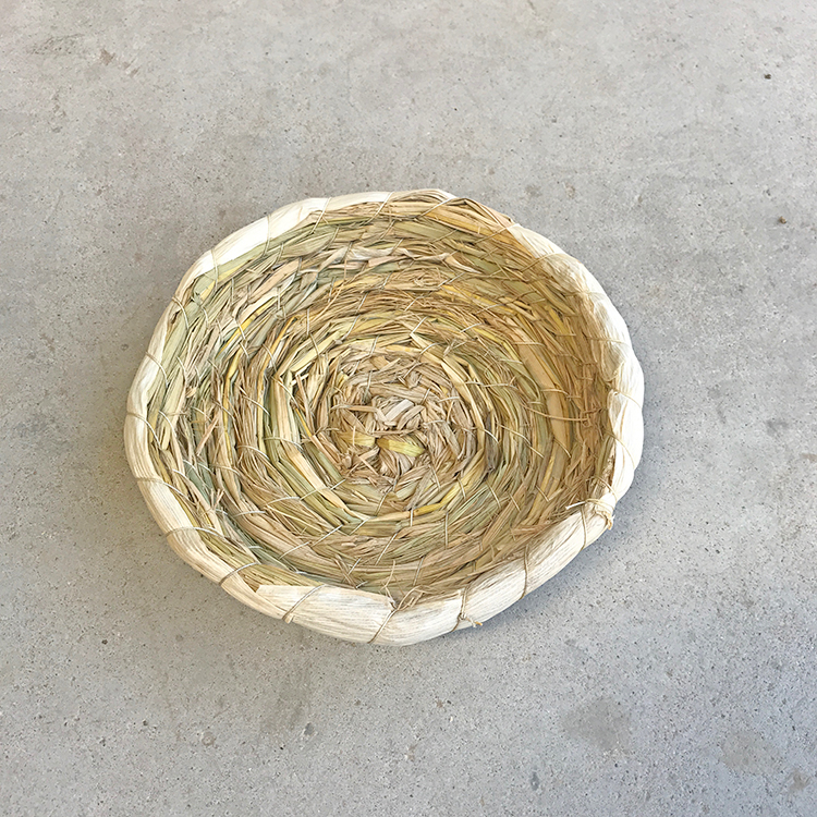 清风苑 鸽子用品用具 鸽子窝鸽巢 信鸽用品鸽具鸟窝油草窝 防侧翻大油