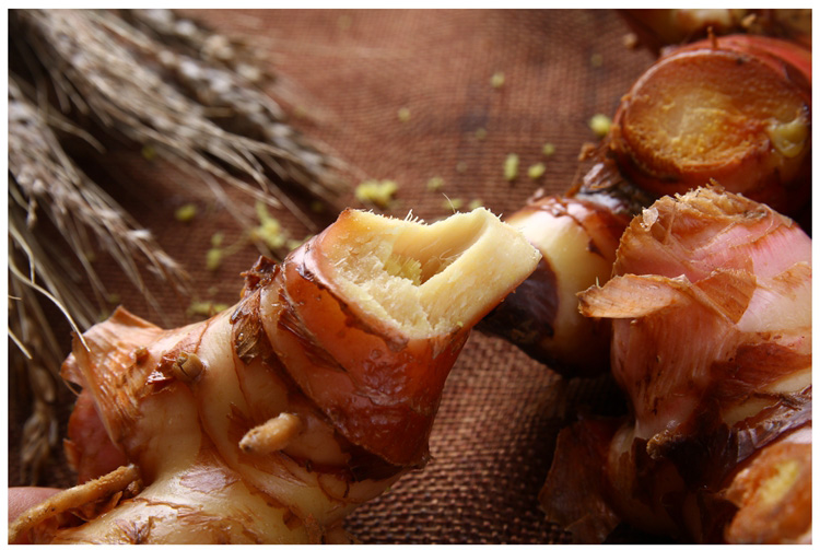 潮汕新鲜南姜芦苇姜山姜嫩姜生鲜蔬菜调料25kg