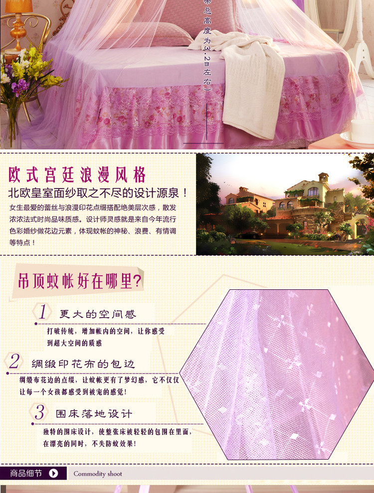 艾梦家纺 吊顶蚊帐 圆顶公主宫廷蚊帐落地吸盘蚊帐 床幔K503 紫 双层大吸盘