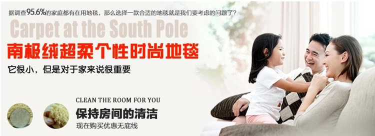 博晓  羊羔绒加厚 南极绒客厅地毯书房卧室飘窗茶几地毯地垫多色 可定制 不掉毛 不褪色 果绿色 180*200cm