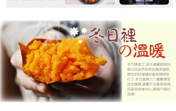 
                                        周福铸铁烤锅22CM  26CM/烤薯锅 烤薯锅/烤红薯烤土豆 煎烤各种食物 补铁养生 铸铁26CM(送手套)                