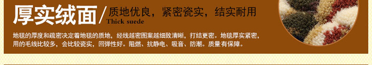 
                                        茵凡加厚混纺地毯欧式田园简约现代风卧室床前客厅茶几地垫 机织混纺高密立体雕花 1018R 300*400cm                