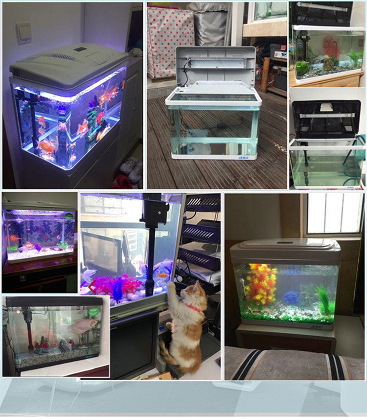 佳宝鱼缸水族箱玻璃创意生态金鱼缸办公室鱼缸52cm单缸无地柜白色单缸