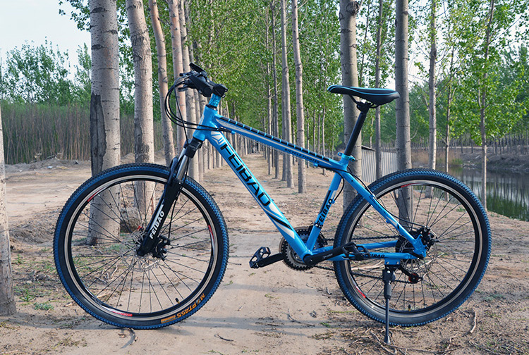 耐嘛naima 山地车自行车21速26寸双碟刹 sd260 (注意:新疆西藏地区暂