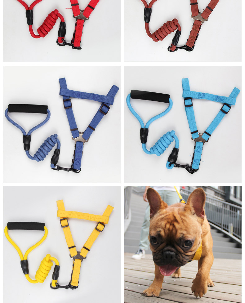呆呆宠狗狗牵引绳狗链子泰迪法牛巴哥哈皮小型中型犬小狗遛狗绳狗背带