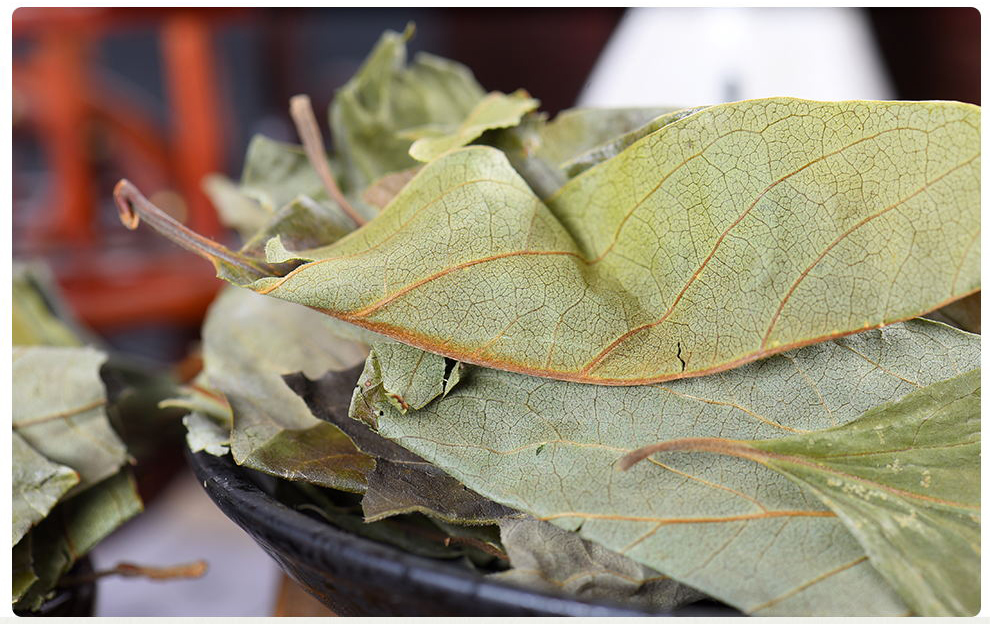 山林百草 干柿子叶茶柿叶新鲜中药材新货 柿子叶 250g