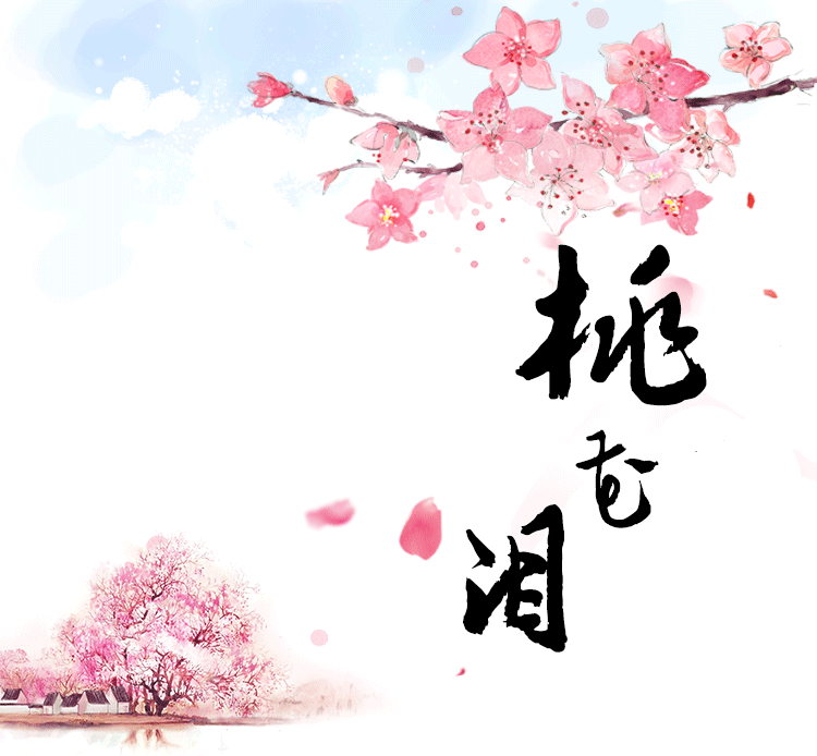 桃胶 食用桃花泪 500g