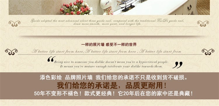 客厅照片墙相框墙 欧式创意挂墙相框相片组合 结婚礼物TS28A 白胡框欧式手绘经典