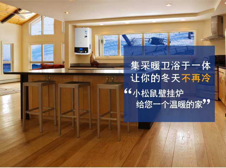 小松鼠壁挂炉智能液晶型SD36-B3plus(图1)