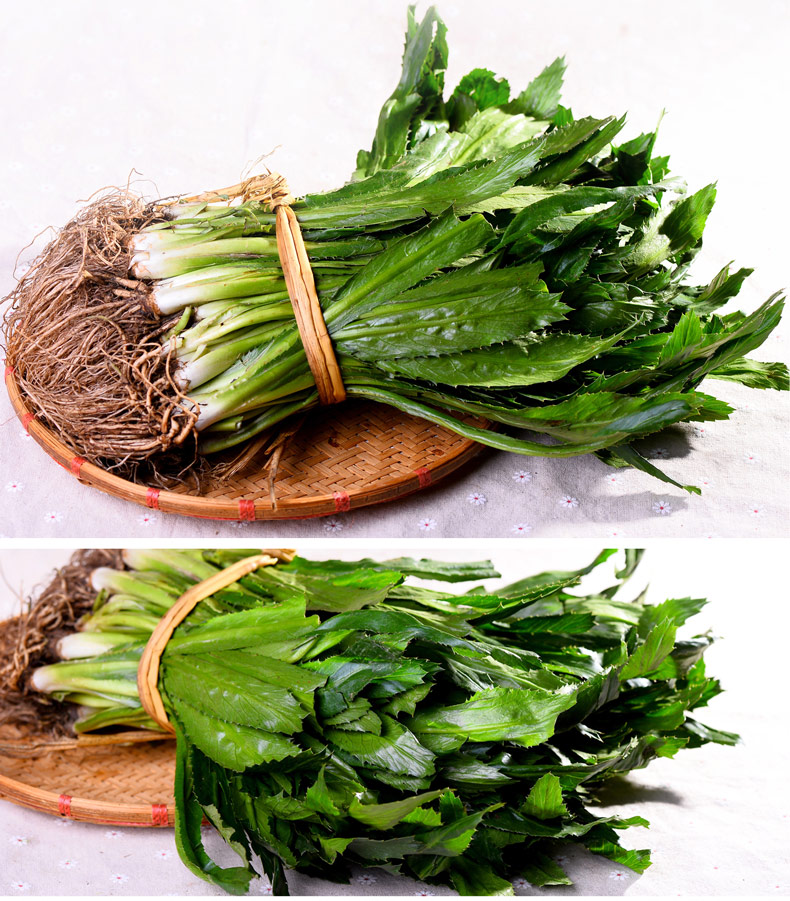 云南大香菜缅甸芫荽傣味大香菜1kg不带根京东生鲜蔬菜