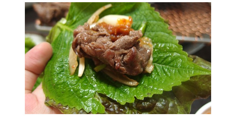 东北特产新鲜紫苏叶苏子叶韩式烧烤烤肉食材蔬菜500g