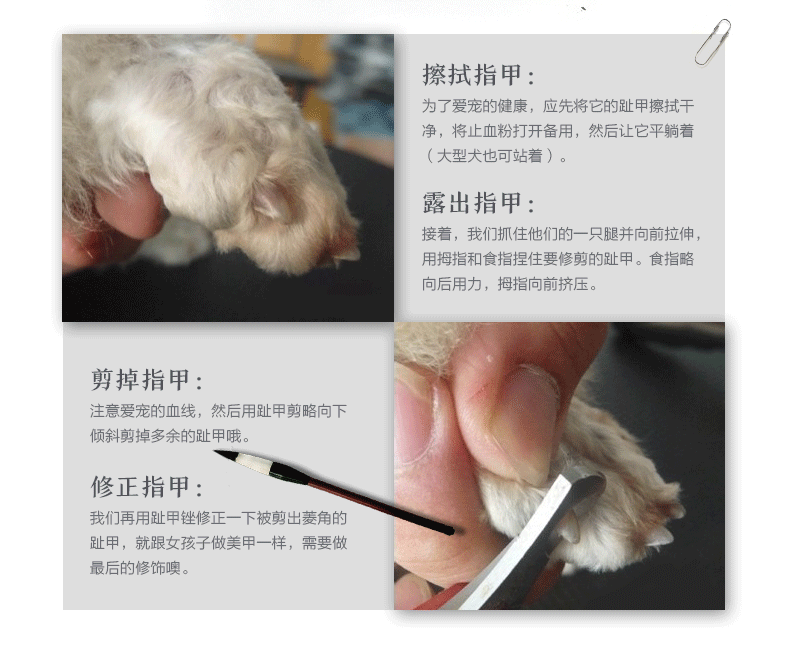 狗狗猫咪指甲剪金毛宠物大型犬指甲刀钳泰迪中小型犬小狗用品 粉黑