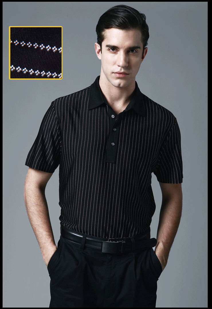 romaster 罗马世家 男士褐色条纹套头款翻领短袖t恤 rc312067 185/104