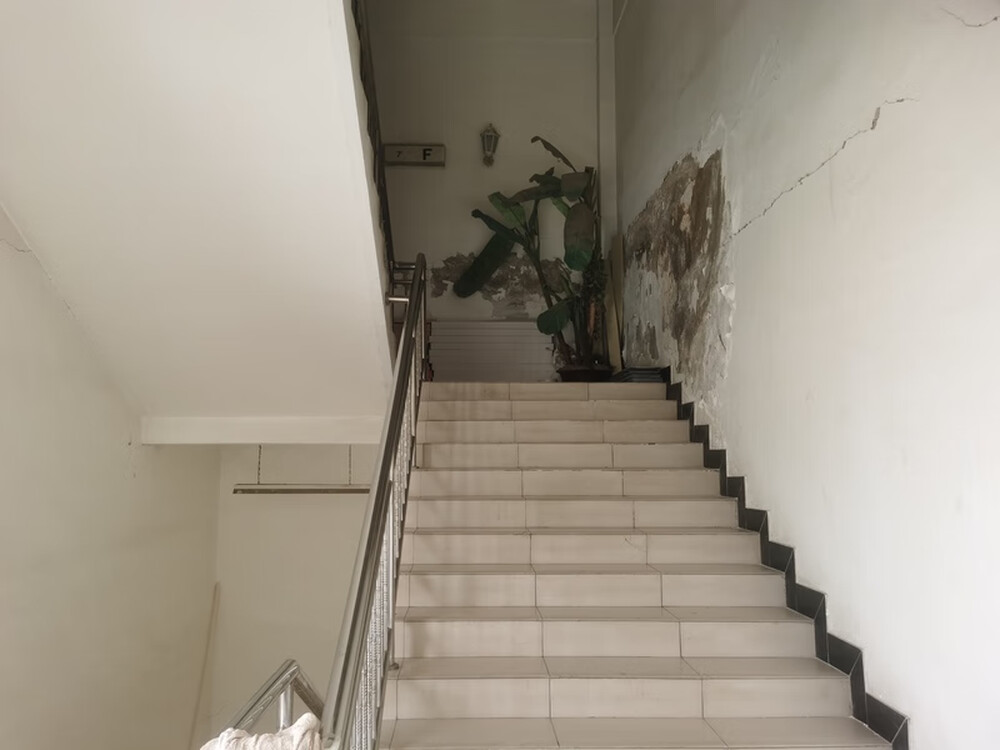 西环路26号楼 501室