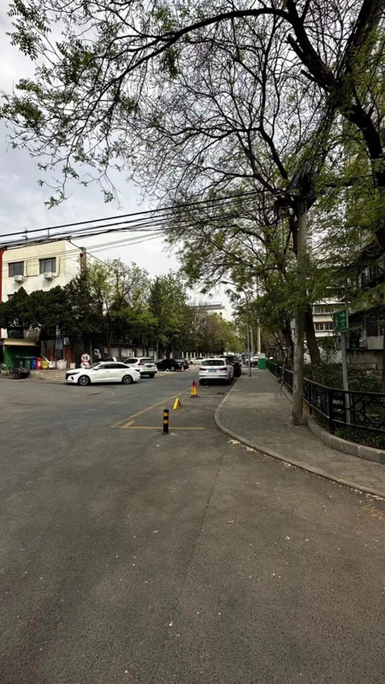 绿地诺亚方舟1号楼515室