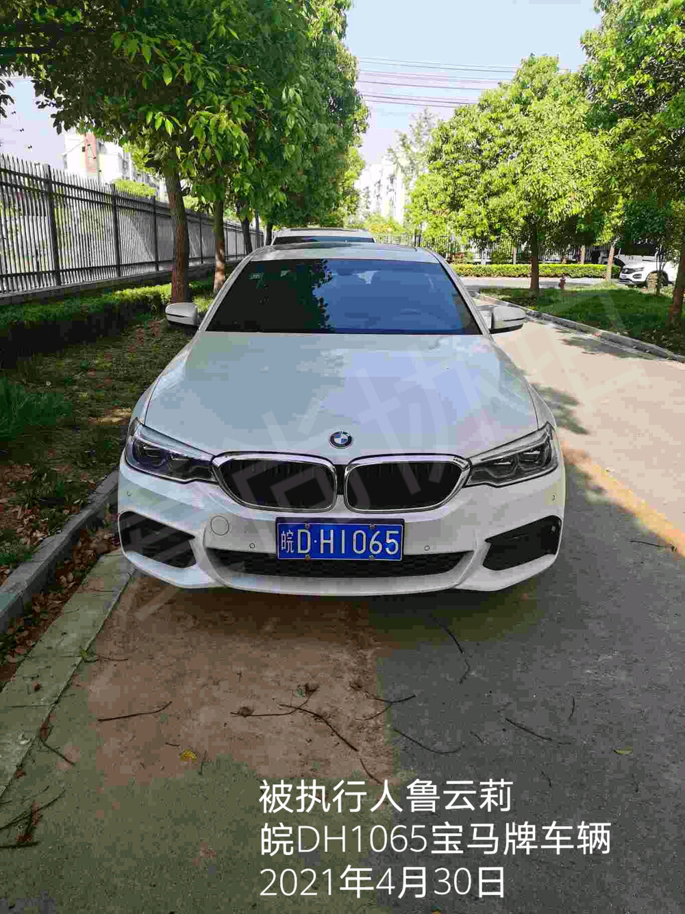 宝马牌车牌号皖dh1065的车辆