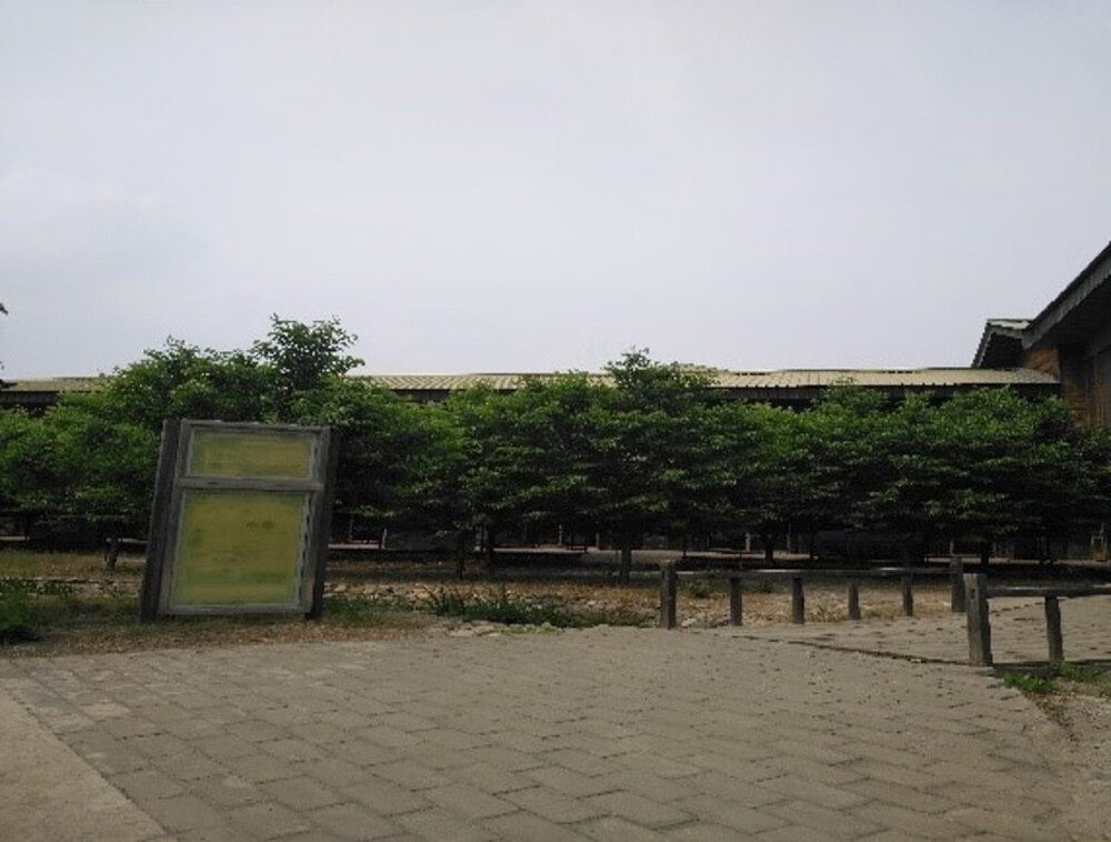 鹅和鸭农庄4幢